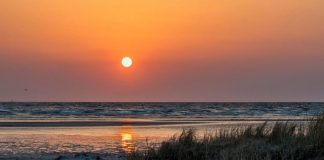 APROPOS NATURMØDET 2018: Hymne til naturen ved Hirtshals