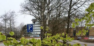 Forårsfarver byder velkommen til Forskningens Døgn