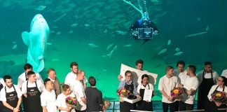 Nedtælling til Årets Sild 2019