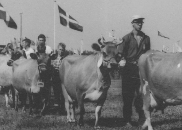 Dyrskue_FlaskePosten_1