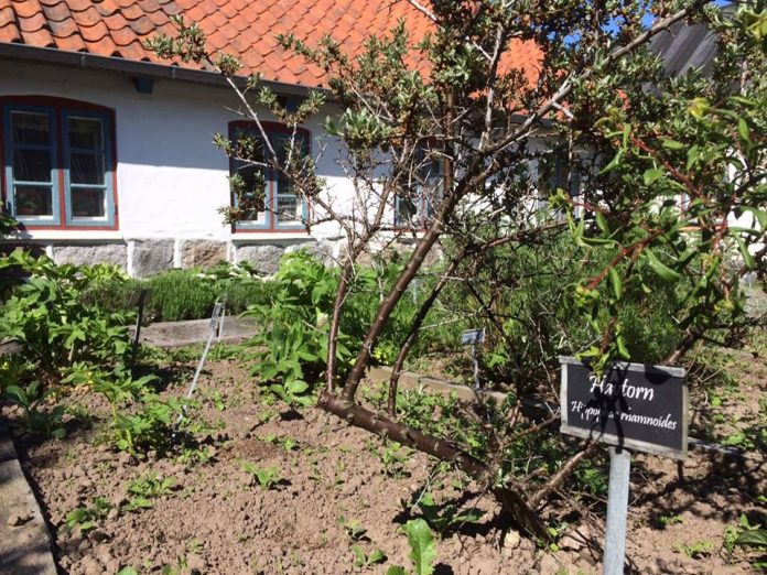 Natur_FlaskePosten_2