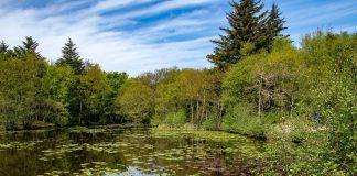APROPOS NATURMØDET 2018: Tverstedsøerne, Fisketrappen og…Tange Sø…