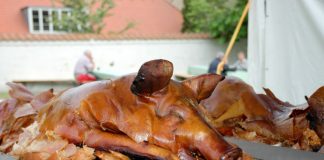 Kulturnat med gris i Vendsyssel Historiske Museums have