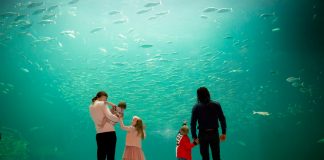 SMIL på Nordsøen Oceanarium