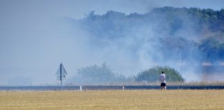 Markbrand tæt på skoven