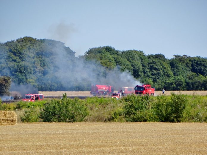 Markbrand_FlaskePosten_1