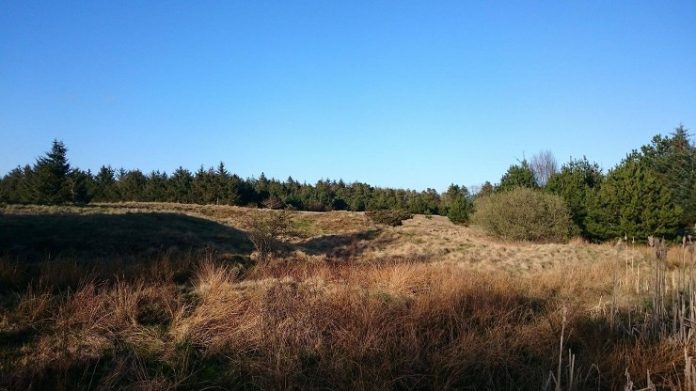 Overdrev_TNVP_FlaskePosten_2_740x416