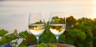 Rundvisning og gratis vinsmagning i Hjørring