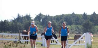 Trailløb for de tobenede hos Hirtshals Rideklub