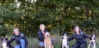 DcH DKK afdeling til DM i Vejen