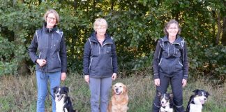 DcH Hjørring sender 4 ekvipager fra DKK til DM