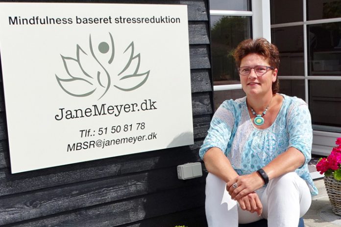 jane meyer_flaskeposten_740x493