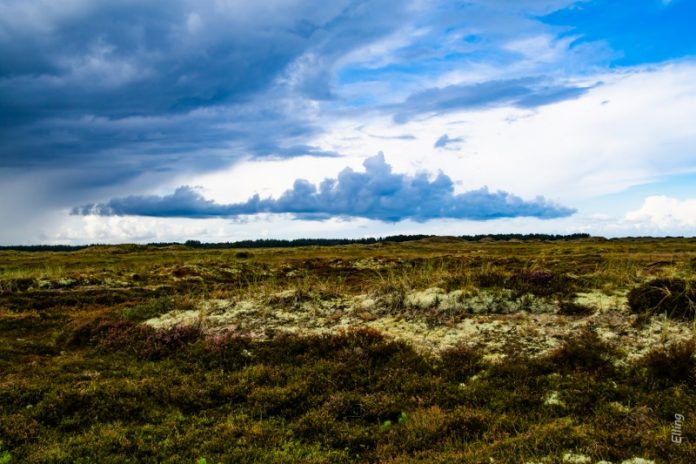250818 Råbjerg Kirke og klitlandskabet nordfor (16)_800x533