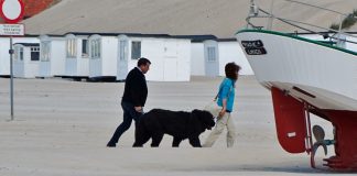 Løkken er blevet mondænt