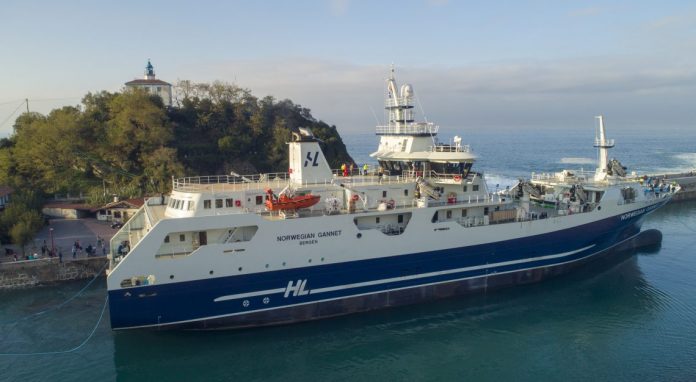 Norwegian_Gannet_FlaskePosten_2