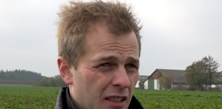 Nordjyske landmænd opfordres til at satse på roer