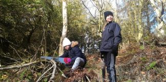 Sagnkunst og kulturarv i Tornby Klitplantage