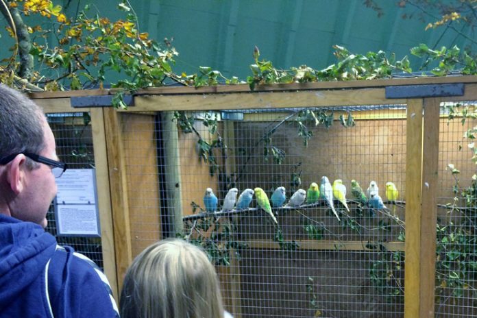 fugleudstilling_flaskeposten_740x493