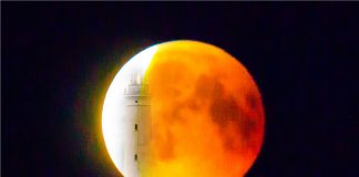 Black Friday – Åbent Fyr – Fuldmåne – Fuglefald – Friskbrygget Kaffe…