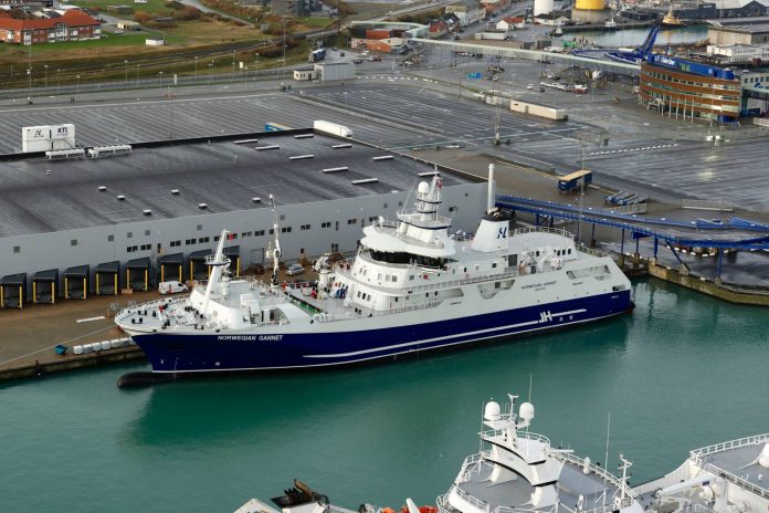 Gannet_FlaskePosten_1