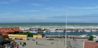 Det glæder vi os til i 2019!