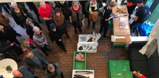 Fiskeauktion og festivitas for Hus Forbi på Horne Efterskole