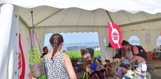 Naturmødet Tema 2019 skal gå fra snak til handling