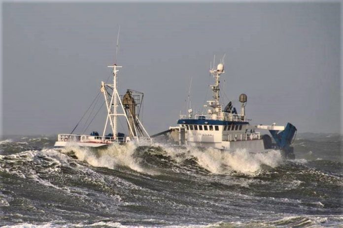 FiskerForum_Jette_Kristine_FlaskePosten_1