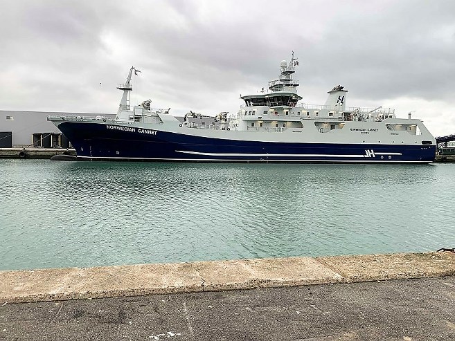 Norwegian_Gannet_FlaskePosten_1_657x493