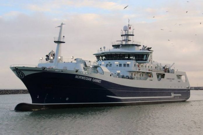 Norwegian_Gannet_Henning_Hansen_FlaskePosten_1_740x493