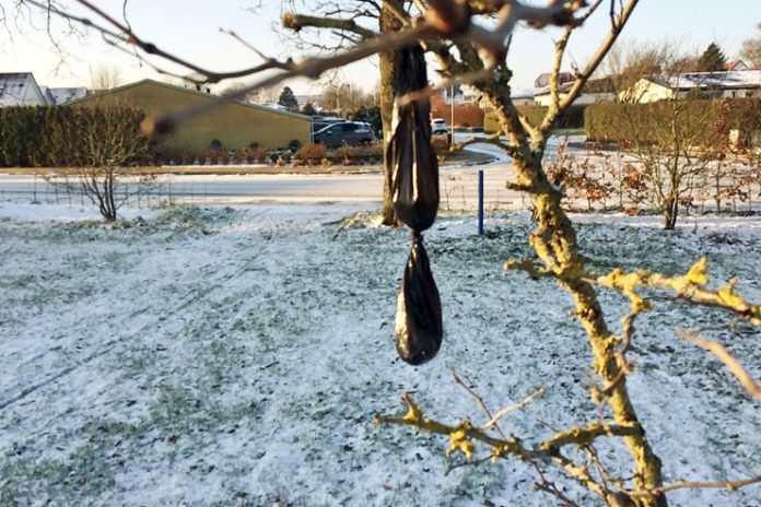 hundepose i træ_flaskeposten_740x493