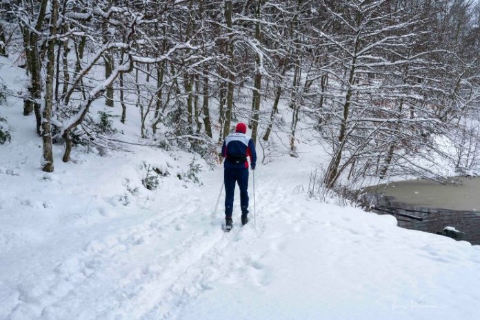 Langrend_FlaskePosten_1_739x493