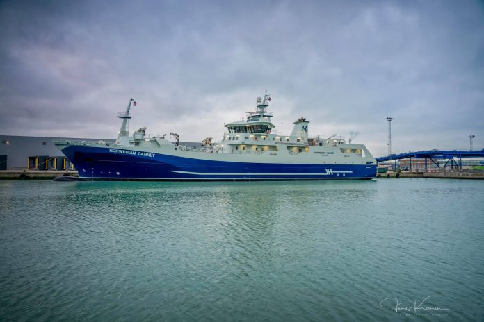 Norwegian_Gannet_FlaskePosten_1