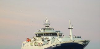 Bråvallaslaget om Norwegian Gannet og Hav Line