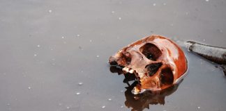 Har du skeletter i skabet?