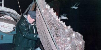 Leo Kristensen mindes natligt hummerfiskeri med HG 20 Anita