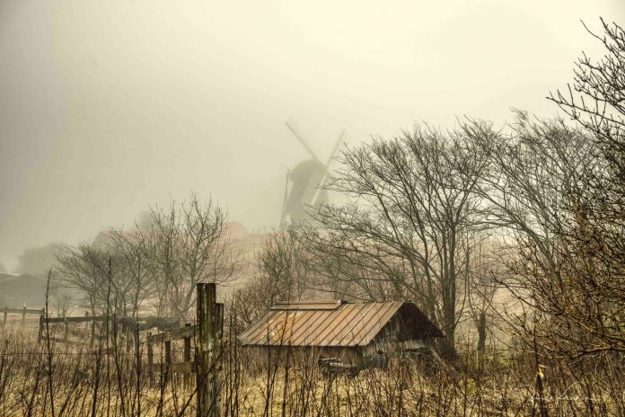Vennebjerg_Mølle_Tåge_2