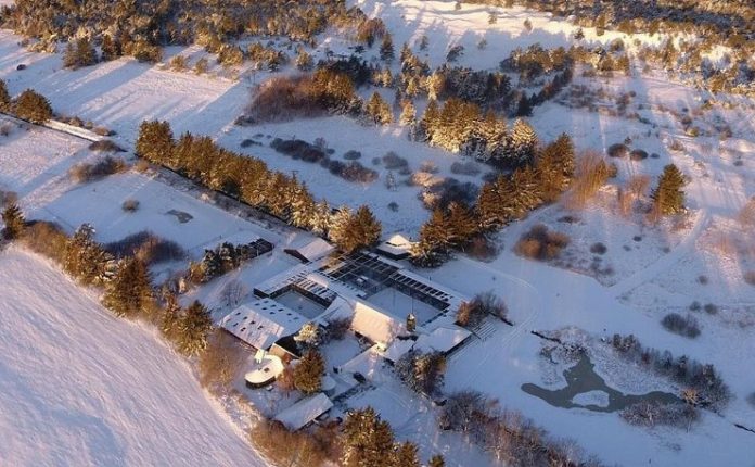 Ørnereservatet_FlaskePosten_1_740x457