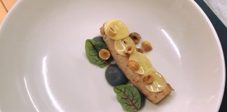 Noma eller Horne Efterskole?