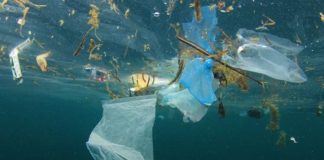 Danske strande bliver undersøgt for mikroplast