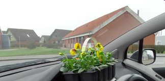 Øjeblikket: Tegn på forår