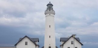 Arbejdspladser i Hirtshals skal i form med kollegamotion og firmaidræt