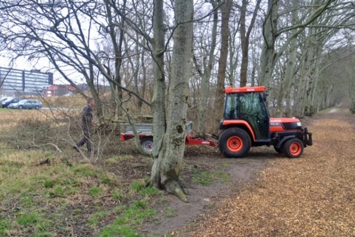 sygehustien forår2019_flaskeposten_740x493