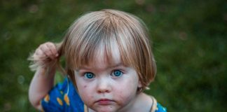 Karl H. Bornhøft (SF): Mange reformer, men intet hjerte i politikken