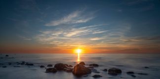 Poul Jansen: Midt i maj