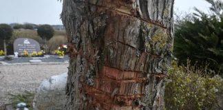 Hærværk på kirkegården i Hirtshals