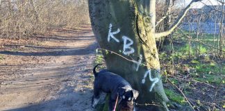 Graffiti-magerne arbejder også i naturen