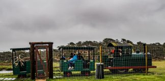 Fun-Park Hirtshals fylder 20 år… Kig ind og vind…