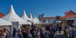 Hirtshals Handel & Erhverv skal evaluere Naturmødet 2019