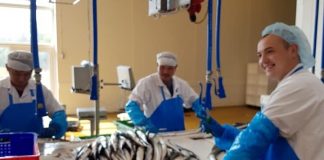 Stadig plads til flere skærefolk hos Venmark Fisk